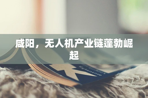 咸阳，无人机产业链蓬勃崛起