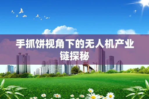 手抓饼视角下的无人机产业链探秘