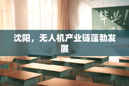沈阳，无人机产业链蓬勃发展