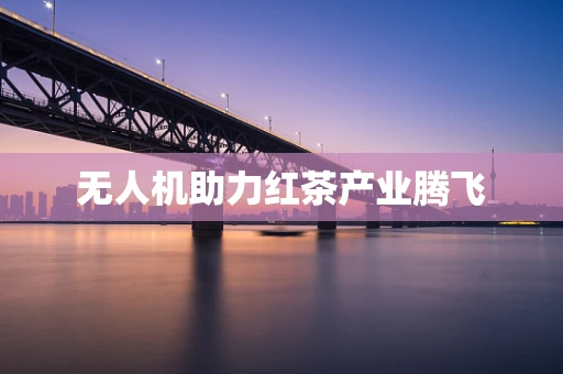 无人机助力红茶产业腾飞