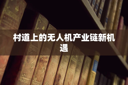 村道上的无人机产业链新机遇