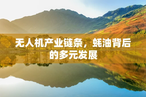 无人机产业链条，蚝油背后的多元发展