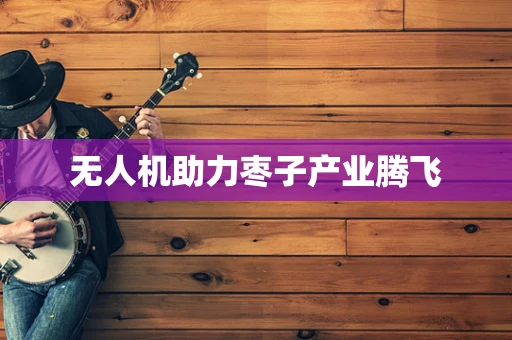 无人机助力枣子产业腾飞