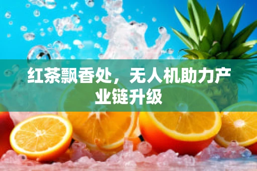 红茶飘香处，无人机助力产业链升级