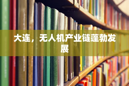 大连，无人机产业链蓬勃发展