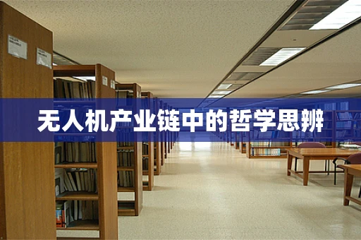 无人机产业链中的哲学思辨