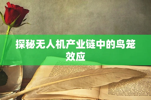 探秘无人机产业链中的鸟笼效应