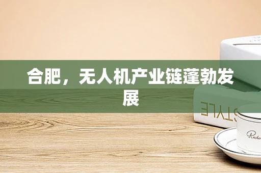 合肥，无人机产业链蓬勃发展