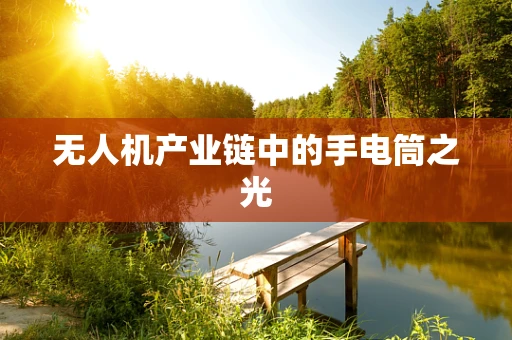 无人机产业链中的手电筒之光