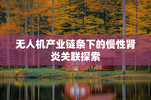 无人机产业链条下的慢性肾炎关联探索