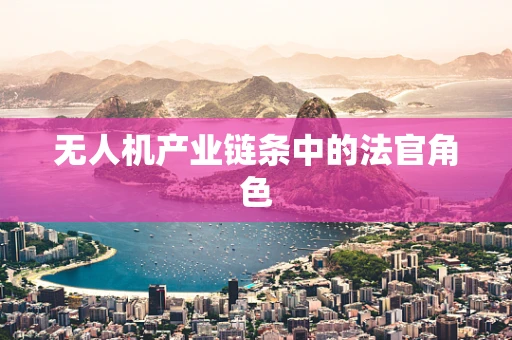 无人机产业链条中的法官角色