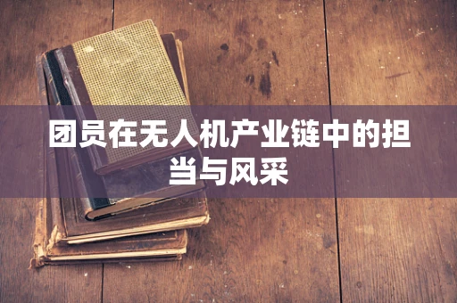 团员在无人机产业链中的担当与风采