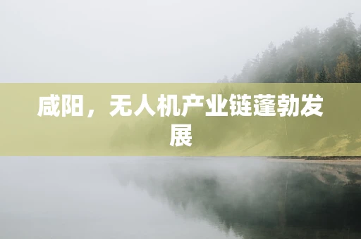 咸阳，无人机产业链蓬勃发展