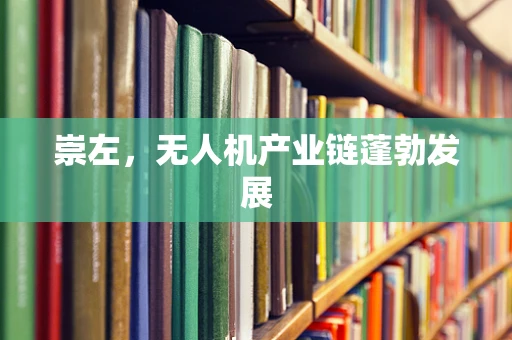 崇左，无人机产业链蓬勃发展