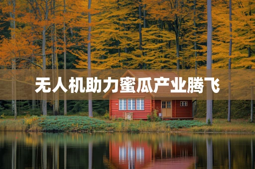 无人机助力蜜瓜产业腾飞