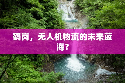 鹤岗，无人机物流的未来蓝海？
