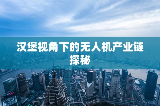 汉堡视角下的无人机产业链探秘