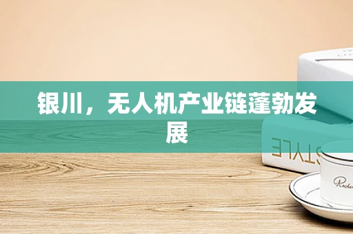 银川，无人机产业链蓬勃发展