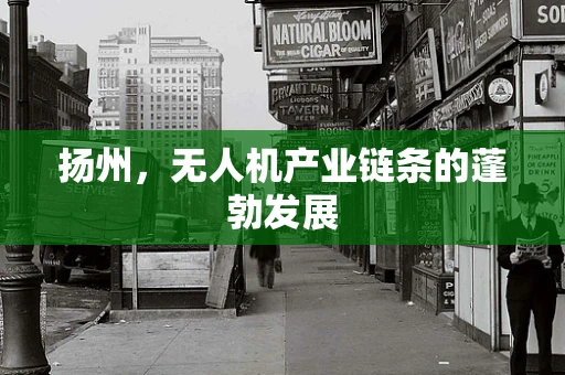 扬州，无人机产业链条的蓬勃发展