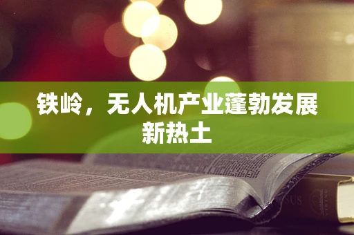 铁岭，无人机产业蓬勃发展新热土