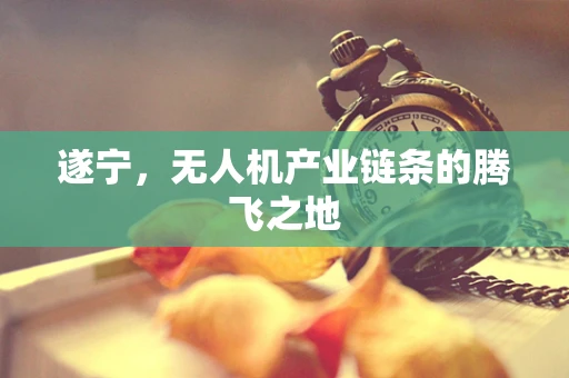 遂宁，无人机产业链条的腾飞之地