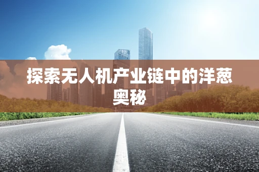 探索无人机产业链中的洋葱奥秘
