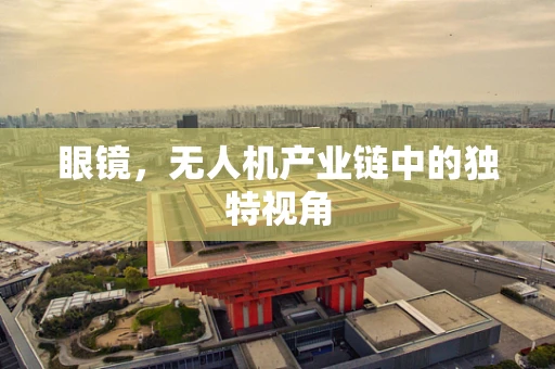 眼镜，无人机产业链中的独特视角