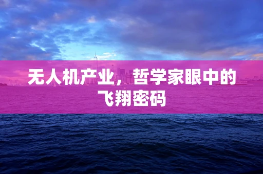 无人机产业，哲学家眼中的飞翔密码