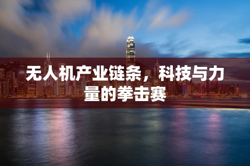 无人机产业链条，科技与力量的拳击赛