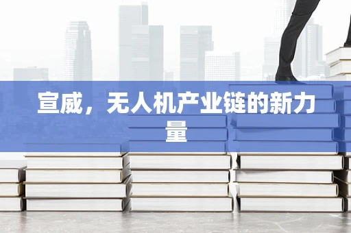 宣威，无人机产业链的新力量