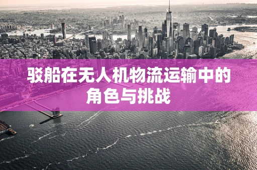 驳船在无人机物流运输中的角色与挑战