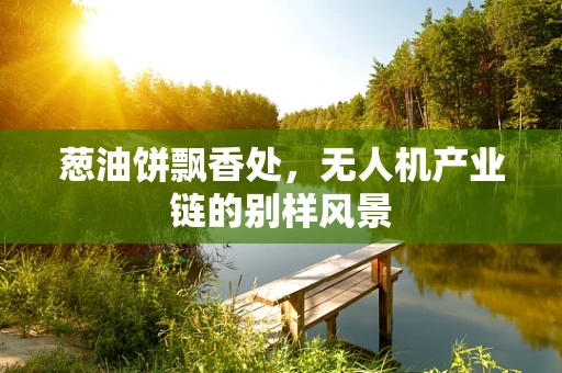 葱油饼飘香处，无人机产业链的别样风景