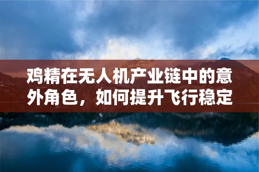鸡精在无人机产业链中的意外角色，如何提升飞行稳定性的创新应用？