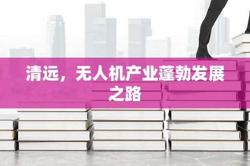 清远，无人机产业蓬勃发展之路