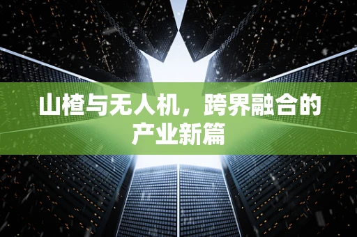 山楂与无人机，跨界融合的产业新篇