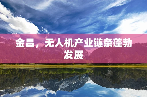 金昌，无人机产业链条蓬勃发展