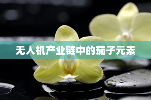 无人机产业链中的茄子元素