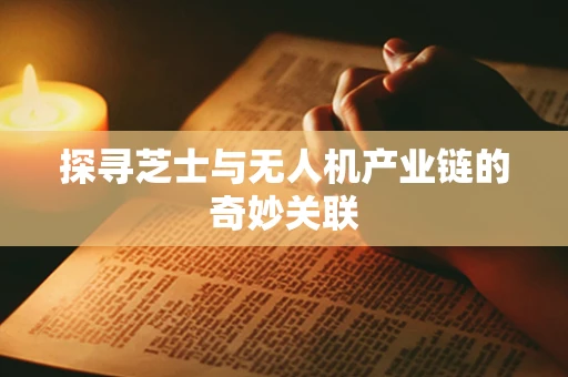 探寻芝士与无人机产业链的奇妙关联