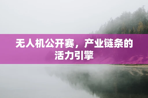 无人机公开赛，产业链条的活力引擎