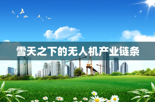 雪天之下的无人机产业链条