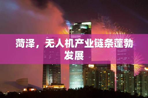 菏泽，无人机产业链条蓬勃发展