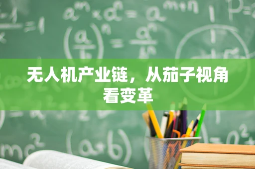 无人机产业链，从茄子视角看变革