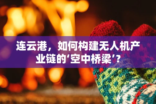 连云港，如何构建无人机产业链的‘空中桥梁’？