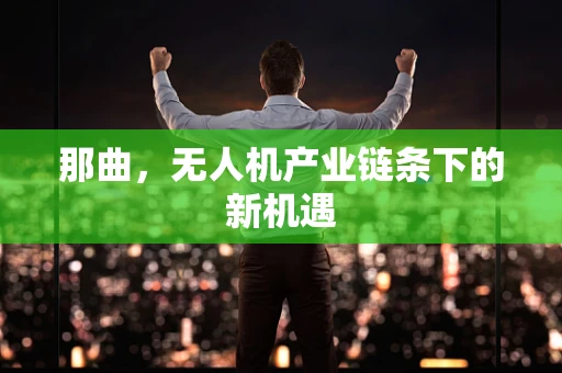 那曲，无人机产业链条下的新机遇