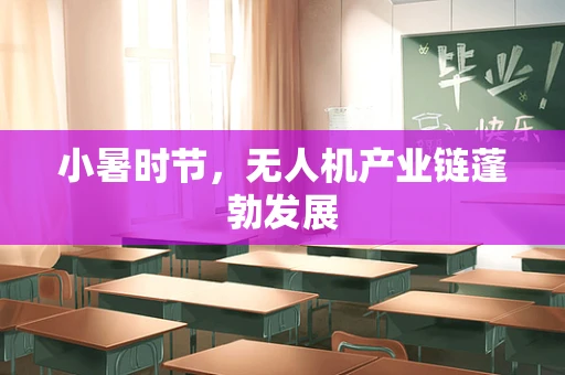 小暑时节，无人机产业链蓬勃发展