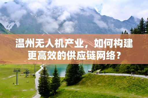 温州无人机产业，如何构建更高效的供应链网络？