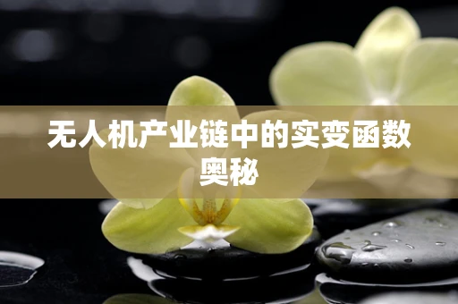 无人机产业链中的实变函数奥秘