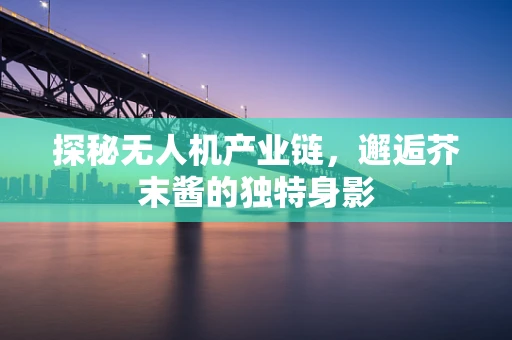探秘无人机产业链，邂逅芥末酱的独特身影