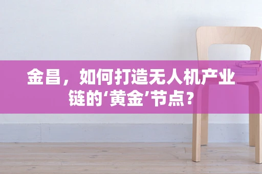 金昌，如何打造无人机产业链的‘黄金’节点？
