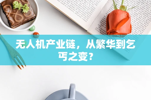 无人机产业链，从繁华到乞丐之变？